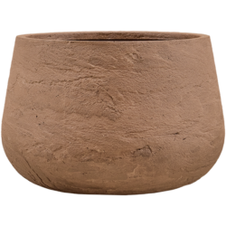 Baq Algar Darcy Low Brown